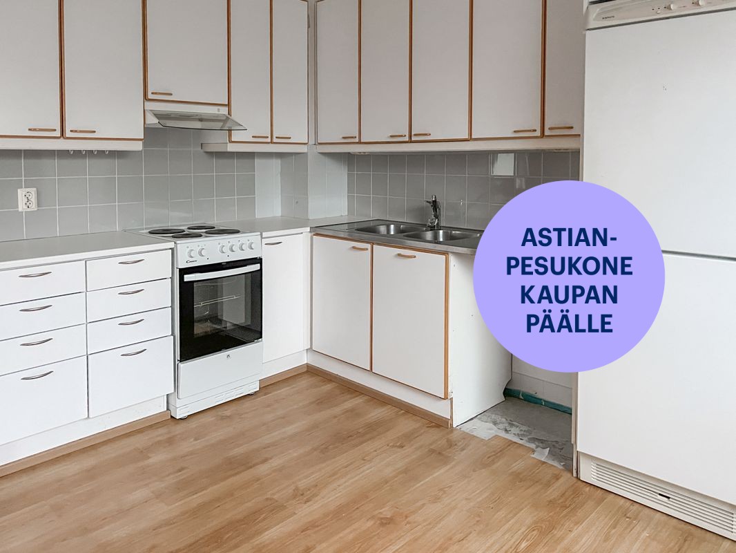 Kaksio, Turku, Pääskyvuori