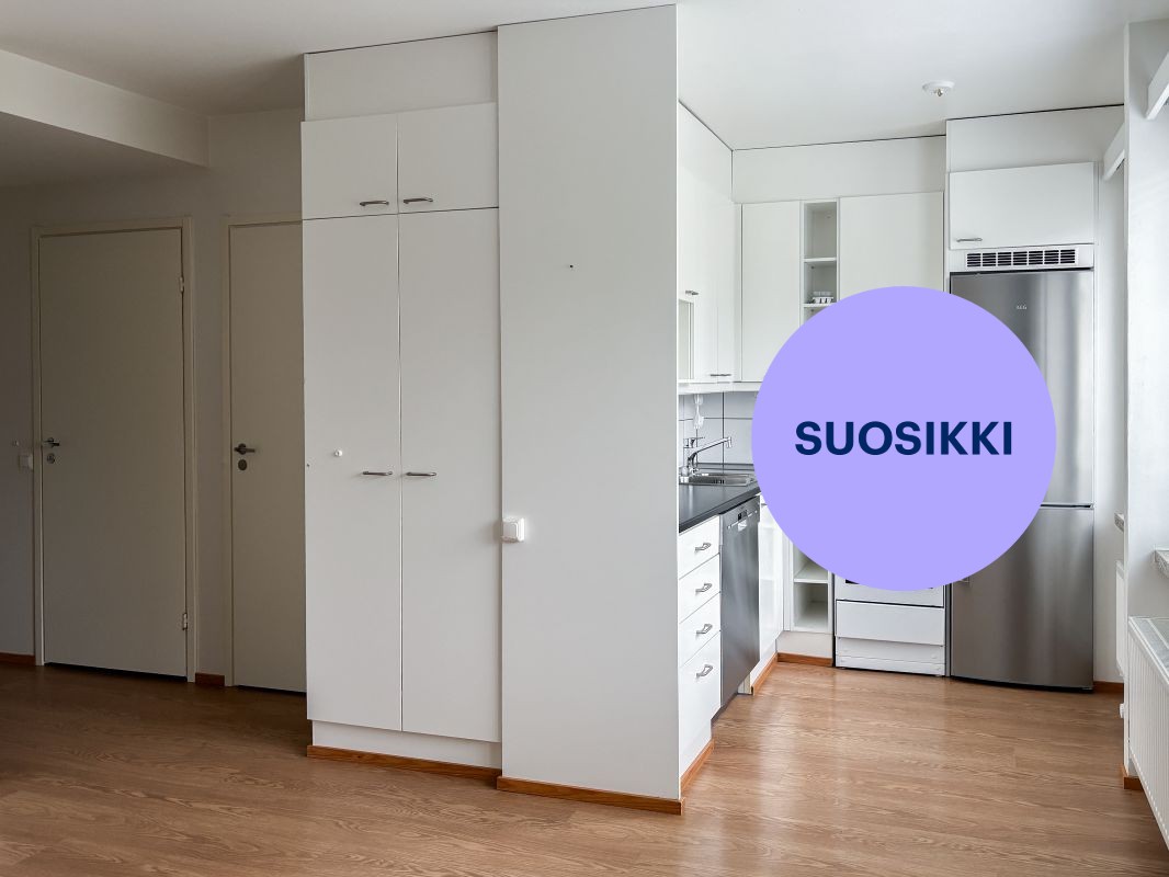Yksiö, Oulu, Alppila