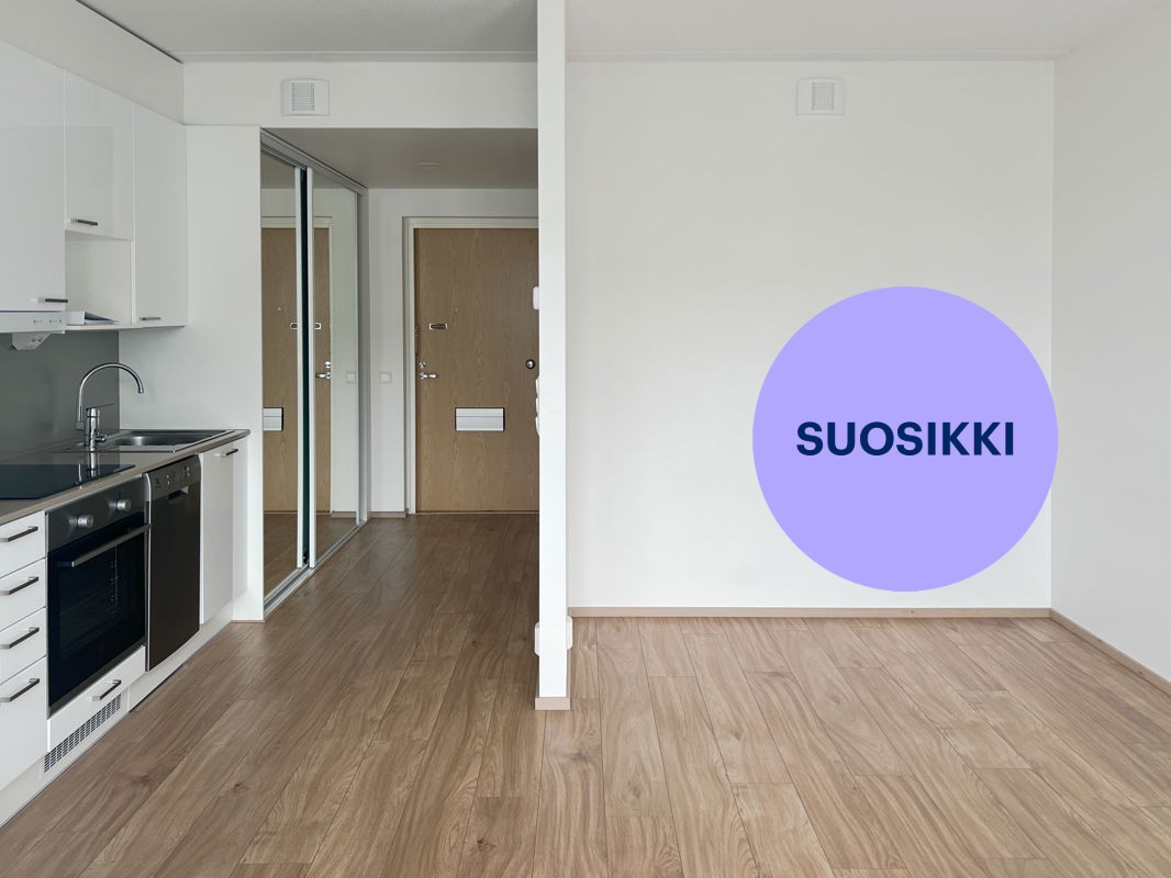Yksiö, Turku, Pääskyvuori
