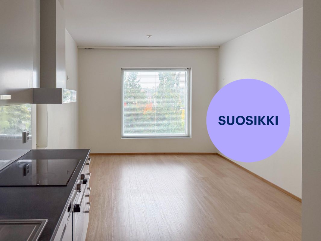 Kaksio, Turku, Kupittaa