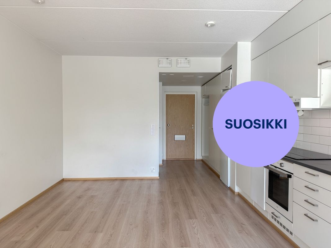 Yksiö, Vantaa, Veromies
