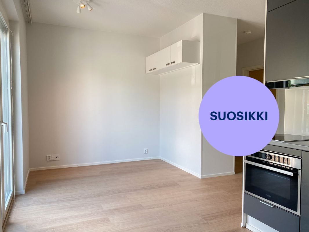Yksiö, Hämeenlinna, Keskusta