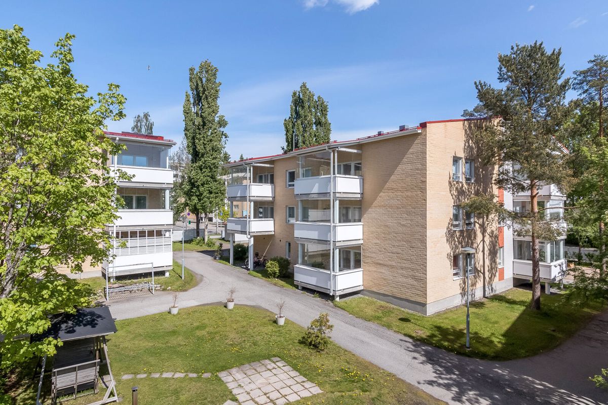 Kaksio, Kuopio, Petonen