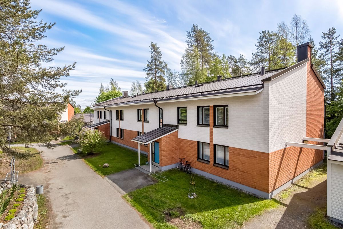 Kaksio, Kuopio, Petonen