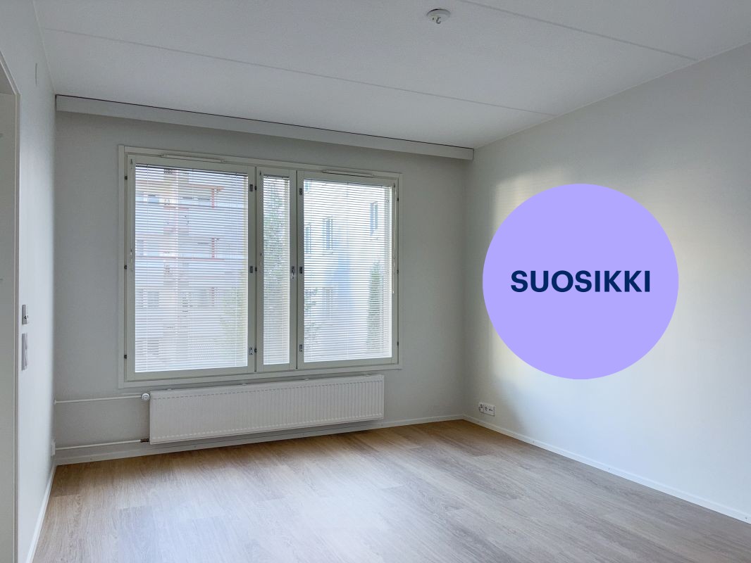 Kaksio, Jyväskylä, Keskusta