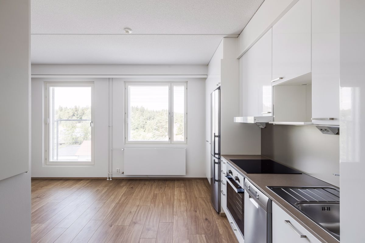 Studio, Turku, Pääskyvuori